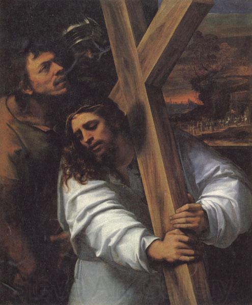 Sebastiano del Piombo Jesus Carrying the Cross Norge oil painting art